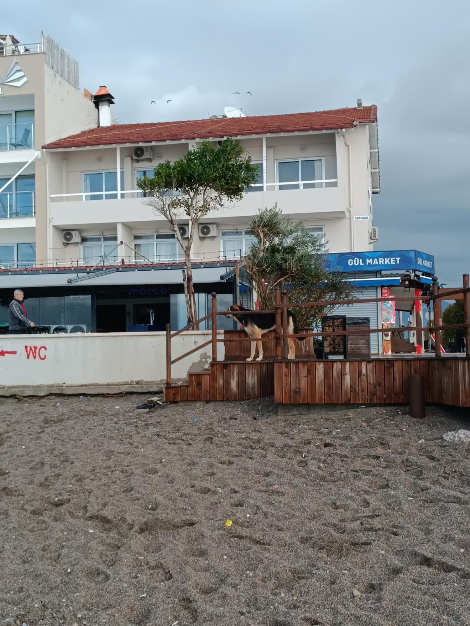 Cloud9 Rooms Fethiye Exterior photo